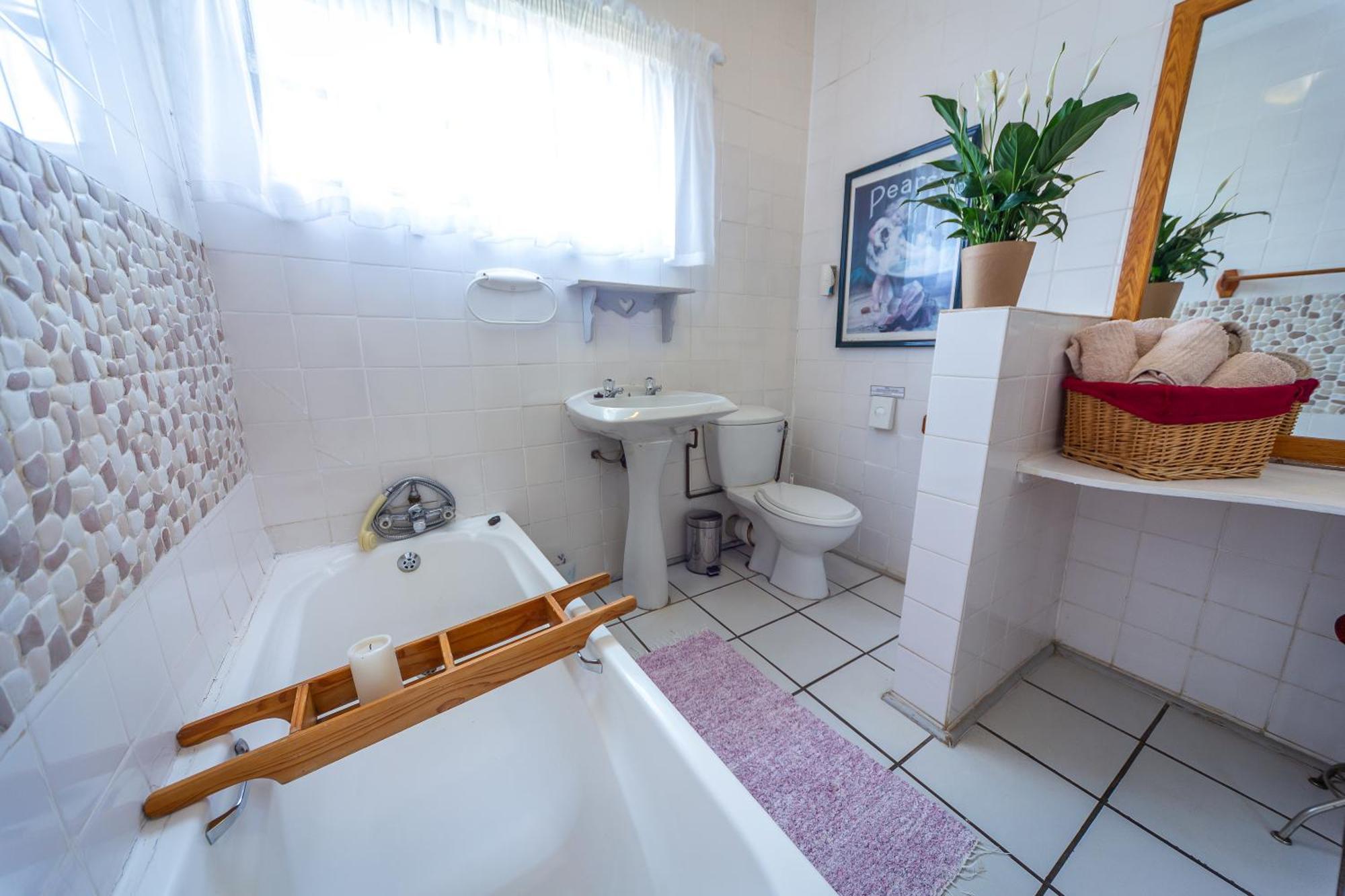 Graceland Self-Catering Cottages ウィンタートン エクステリア 写真